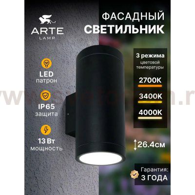 Фасадный светильник Arte Lamp TORCULAR A1313AL-2BK
