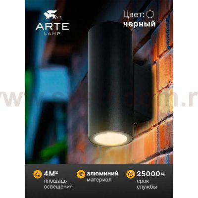 Фасадный светильник Arte Lamp TORCULAR A1313AL-2BK