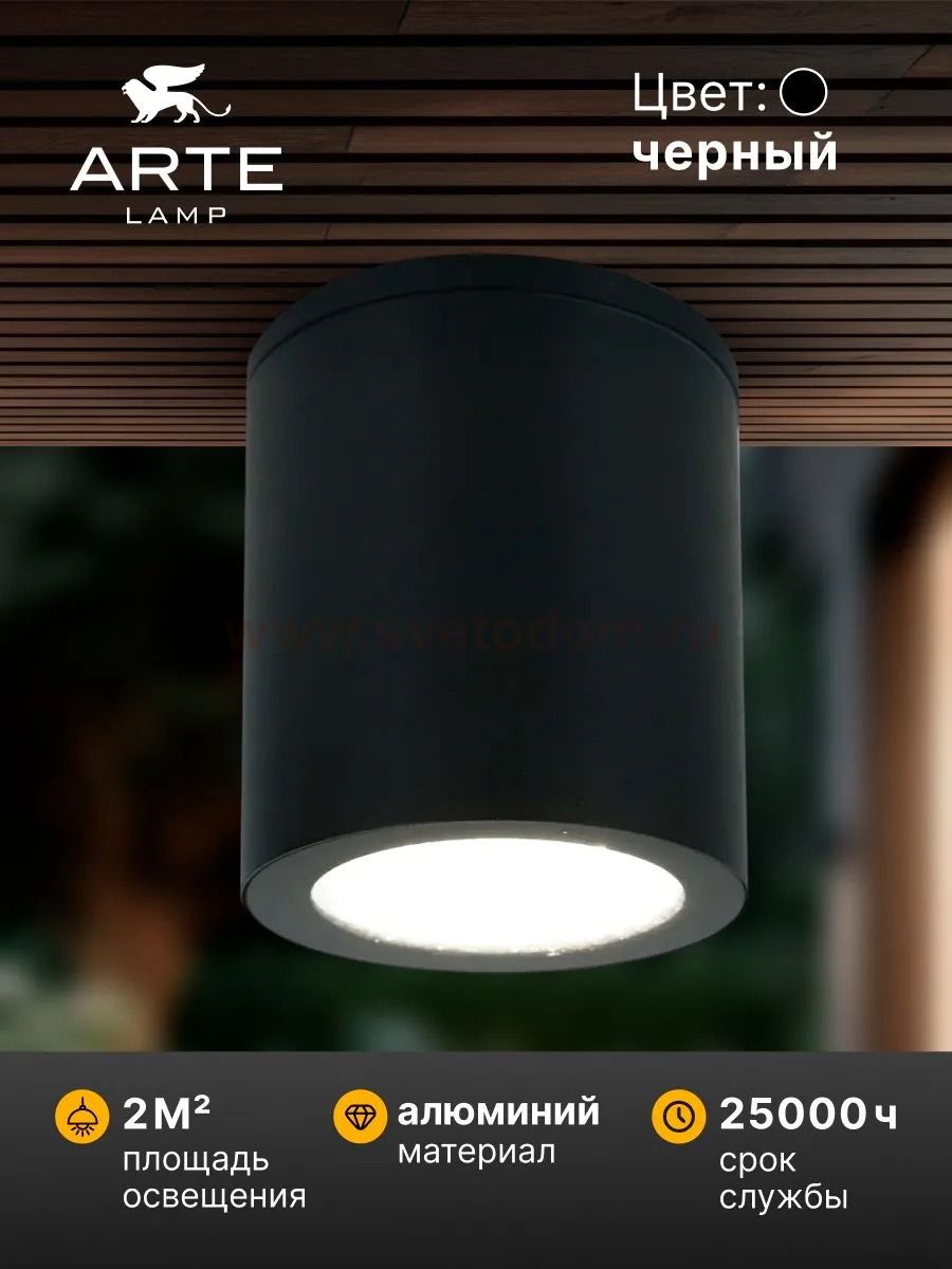 Уличный потолочный светильник Arte Lamp TORCULAR A1313PF-1BK