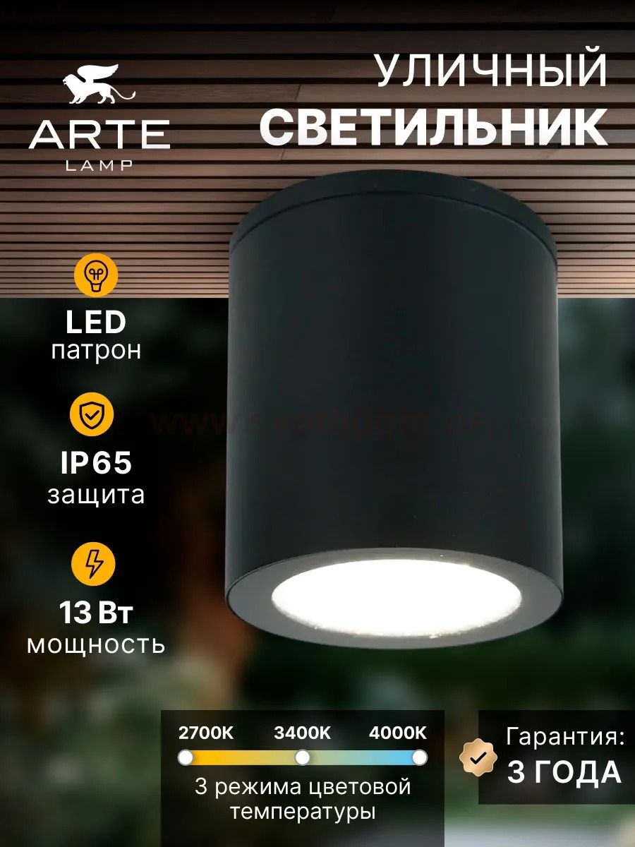 Уличный потолочный светильник Arte Lamp TORCULAR A1313PF-1BK