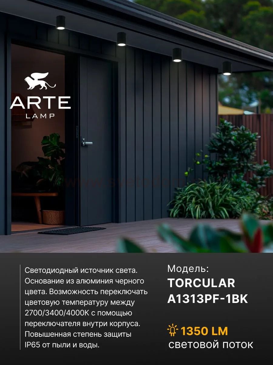 Уличный потолочный светильник Arte Lamp TORCULAR A1313PF-1BK