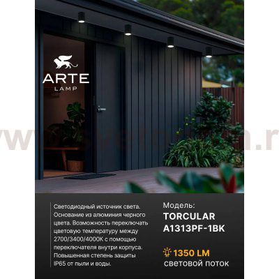 Уличный потолочный светильник Arte Lamp TORCULAR A1313PF-1BK