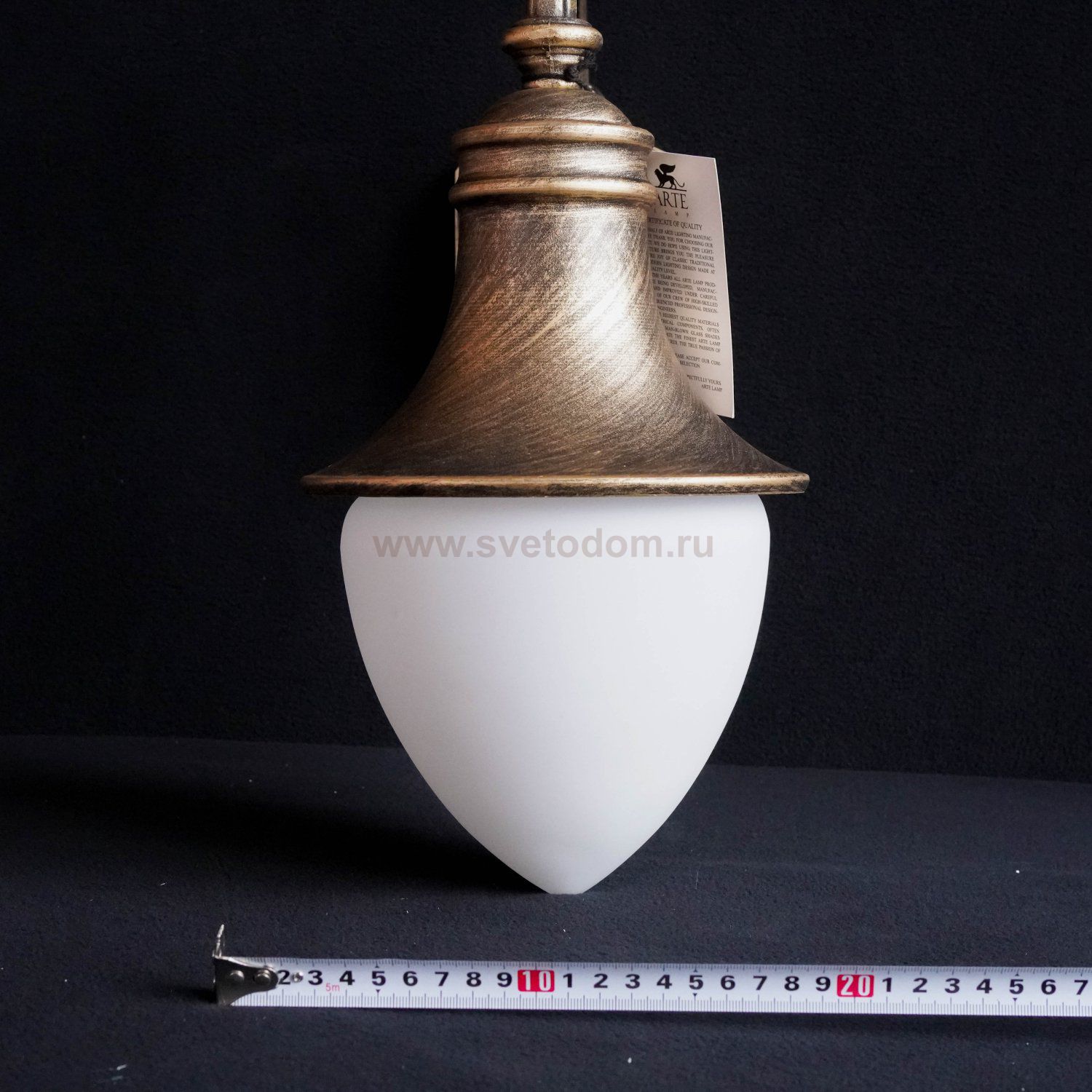 Светильник уличный подвесной Arte lamp A1317SO-1BN Vienna