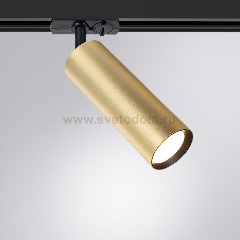 Трековый светильник Arte lamp A1515PL-1SG BEID