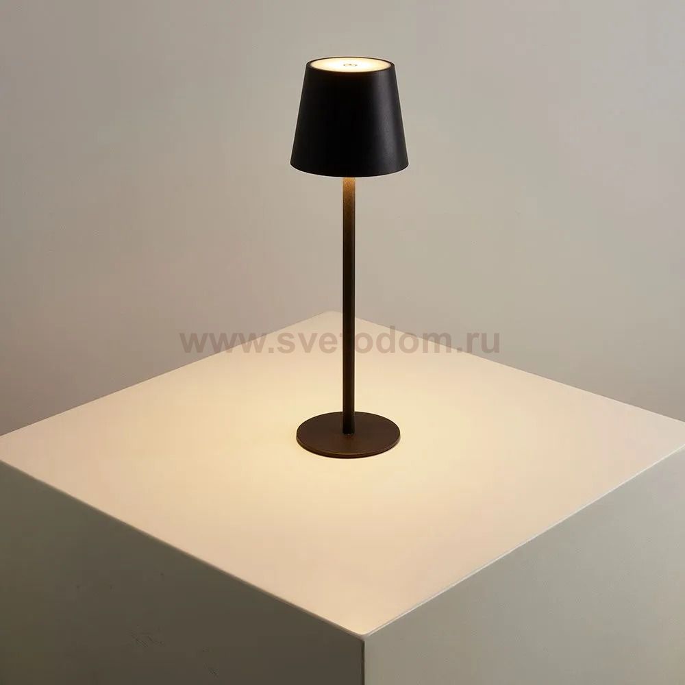 Уличные настольные светильники Arte Lamp A1614LT-1BK FUYUE