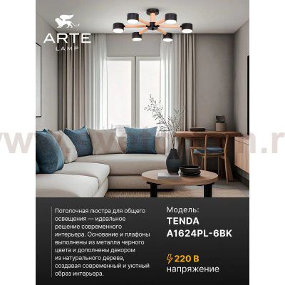 Потолочная люстра Arte Lamp TENDA A1624PL-6BK