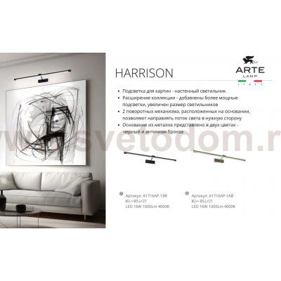 Светильник настенный Arte Lamp A1716AP-1AB HARRISON