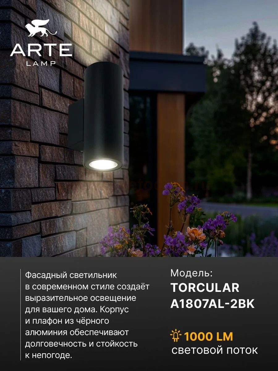 Уличный светильник Arte Lamp A1807AL-2BK TORCULAR