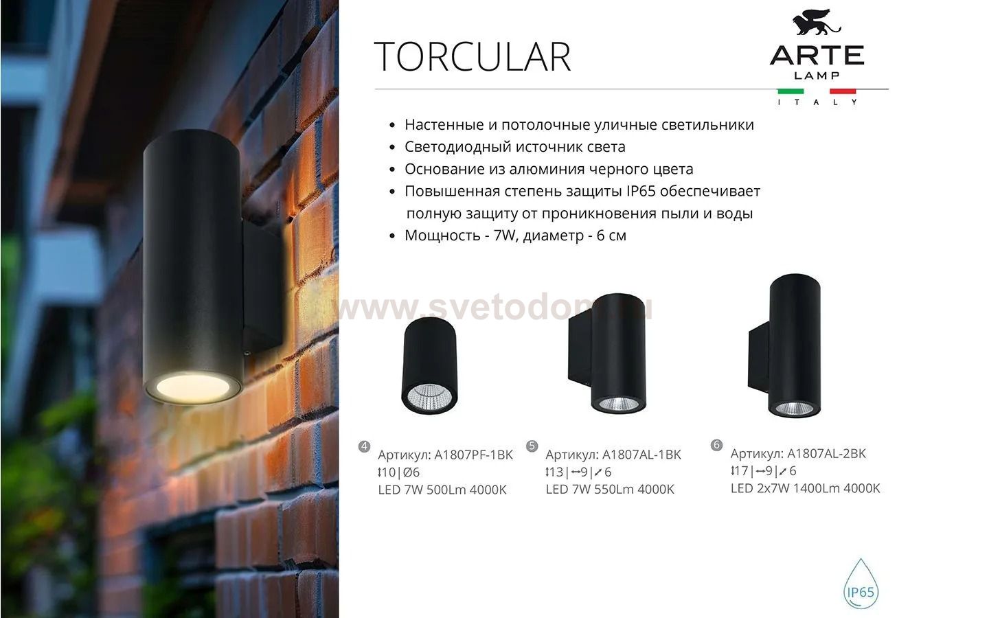 Уличный светильник Arte Lamp A1807AL-2BK TORCULAR