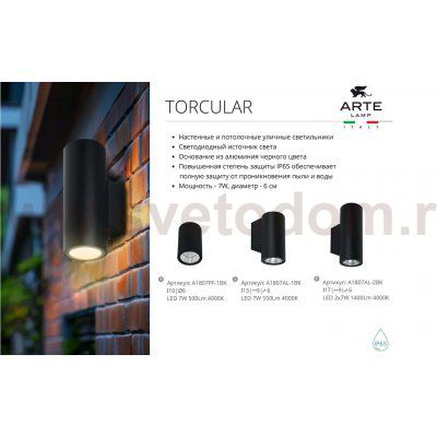Уличный светильник Arte Lamp A1807AL-2BK TORCULAR