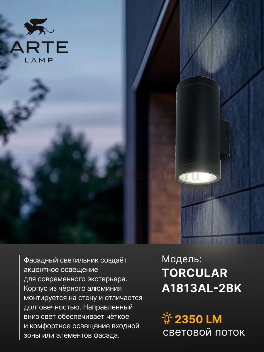 Уличный светильник Arte Lamp A1813AL-2BK TORCULAR