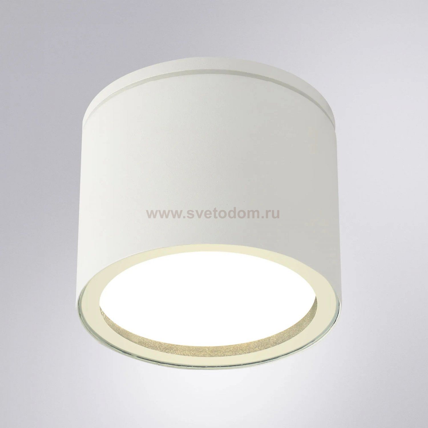 Уличные потолочные светильники Arte Lamp A1913PF-1WH PIAUTOS