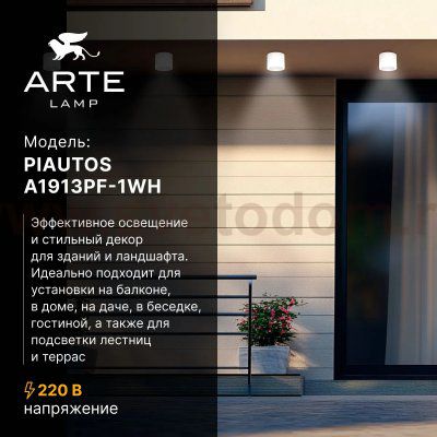 Уличные потолочные светильники Arte Lamp A1913PF-1WH PIAUTOS