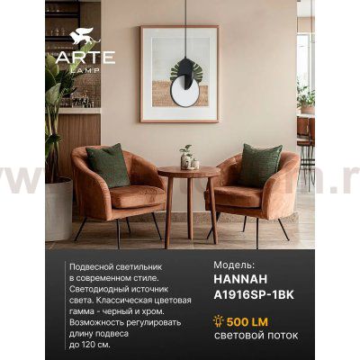 Светильник подвесной Arte Lamp A1916SP-1BK HANNAH