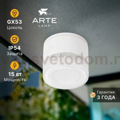 Уличные потолочные светильники Arte Lamp A1926PF-1WH PIAUTOS