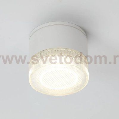 Уличные потолочные светильники Arte Lamp A1926PF-1WH PIAUTOS