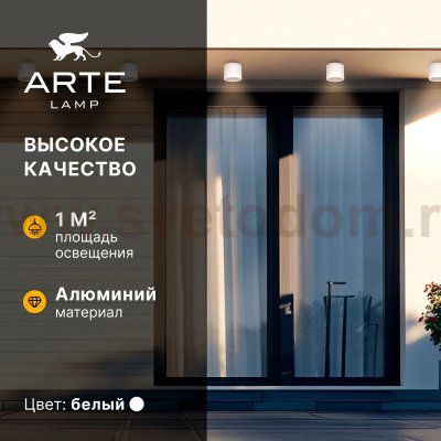 Уличные потолочные светильники Arte Lamp A1926PF-1WH PIAUTOS