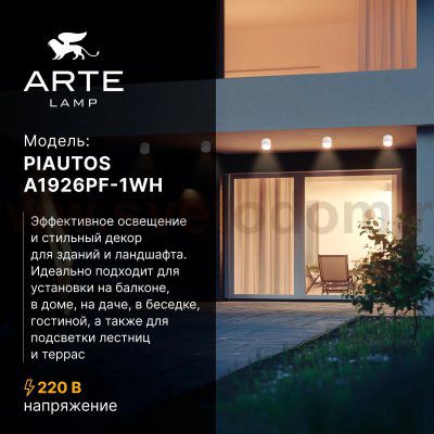 Уличные потолочные светильники Arte Lamp A1926PF-1WH PIAUTOS