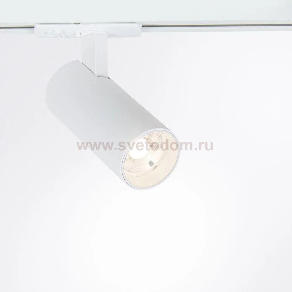 Трековый светильник Arte Lamp A1945PL-1WH BENE