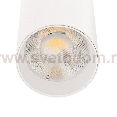 Трековый светильник Arte Lamp A1947PL-1WH BENE