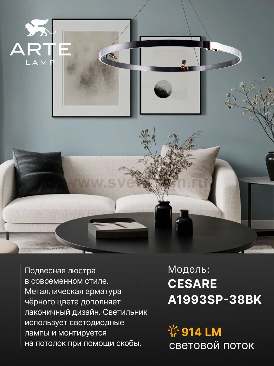 Подвесная люстра Arte Lamp A1993SP-38BK CESARE