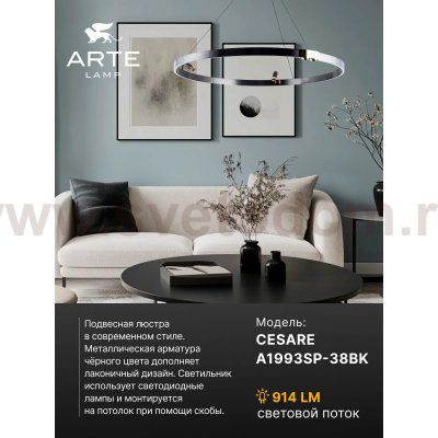 Подвесная люстра Arte Lamp A1993SP-38BK CESARE