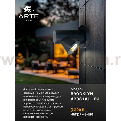 Фасадный светильник Arte Lamp A2063AL-1BK BROOKLYN