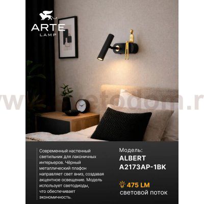 Светильник настенный бра Arte Lamp A2173AP-1BK