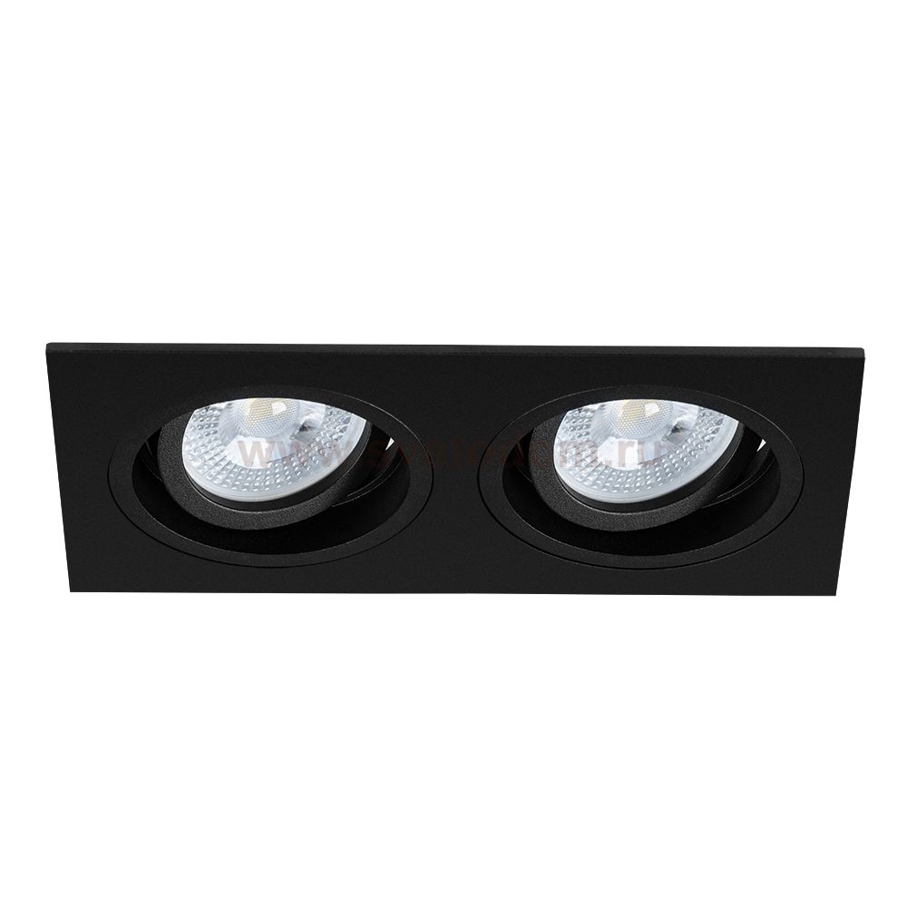 Светильник точечный встраиваемый со сменной лампой Arte Lamp A2178PL-2BK TARF