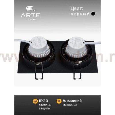 Светильник точечный встраиваемый со сменной лампой Arte Lamp A2178PL-2BK TARF