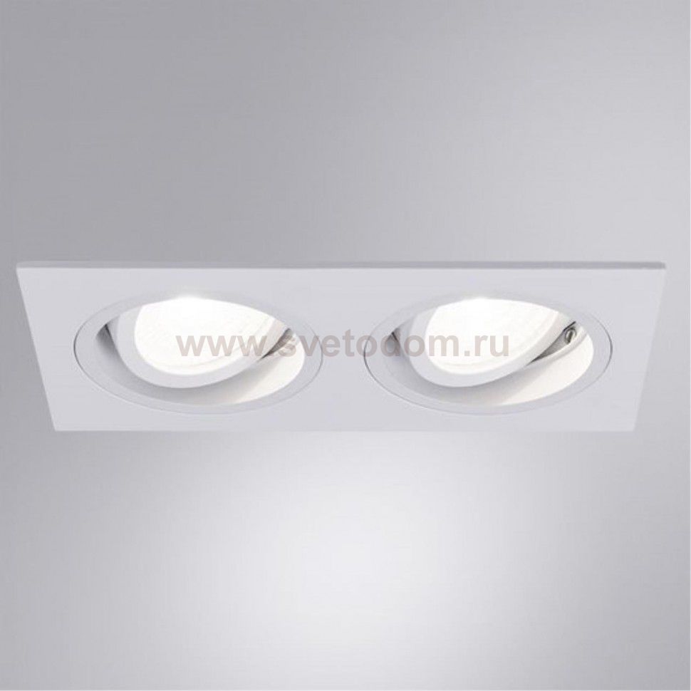 Светильник точечный встраиваемый со сменной лампой Arte Lamp A2178PL-2WH TARF