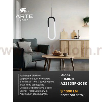 Светильник подвесной Arte Lamp A2233SP-20BK LUMINO