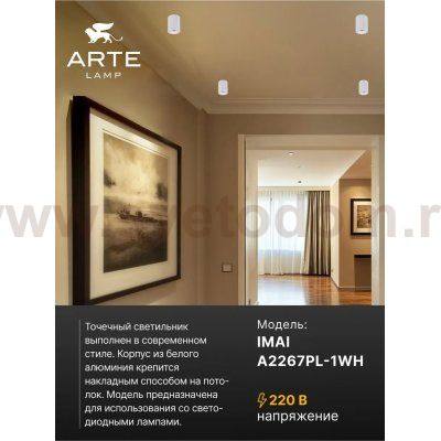 Точечный накладной светильник Arte Lamp A2267PL-1WH IMAI