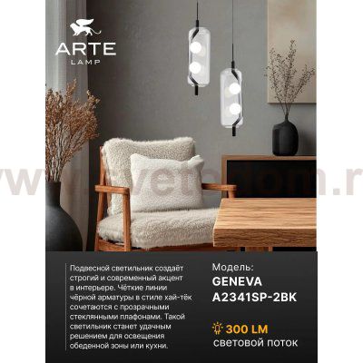 Светильник подвесной Arte Lamp A2341SP-2BK GENEVA