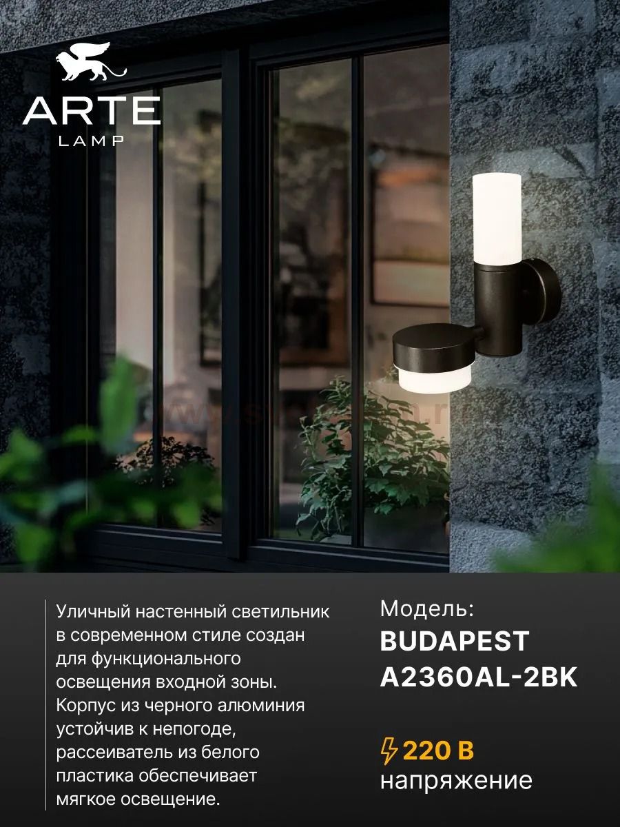 Уличный настенный светильник Arte Lamp A2360AL-2BK BUDAPEST