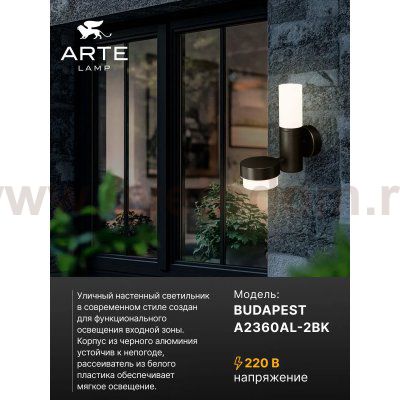 Уличный настенный светильник Arte Lamp A2360AL-2BK BUDAPEST