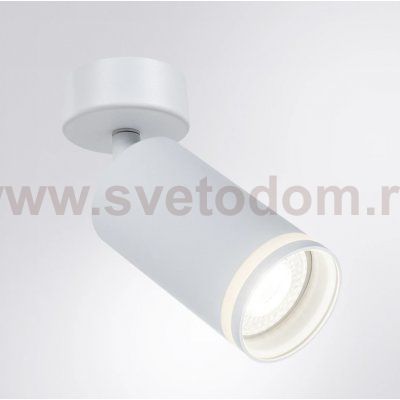 Светильники точечные накладные со сменной лампой Arte Lamp A2365PL-1WH IMAI