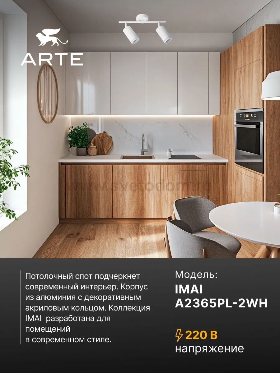 Светильник потолочный Arte Lamp A2365PL-2WH IMAI