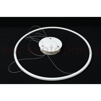 Люстра кольцо белое 36Вт Arte Lamp A2500SP-1WH RAPID