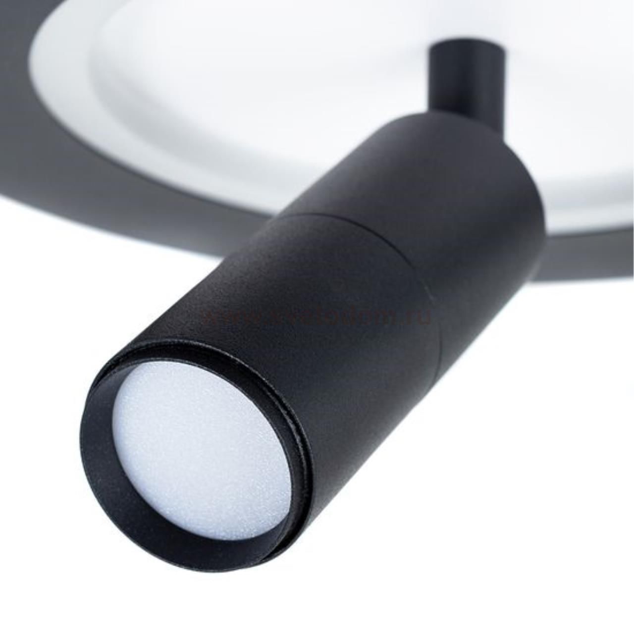 Светильник настенный бра Arte lamp A2607AP-20BK TOMMY