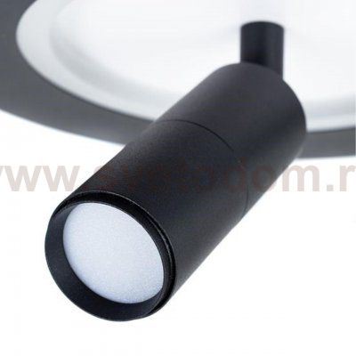 Светильник настенный бра Arte lamp A2607AP-20BK TOMMY