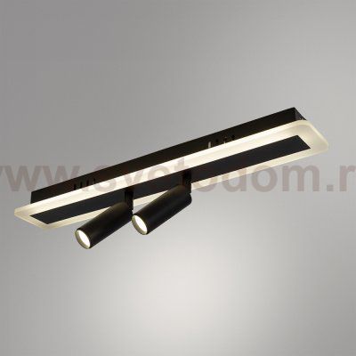 Светильник потолочный Arte lamp A2607PL-22BK TOMMY