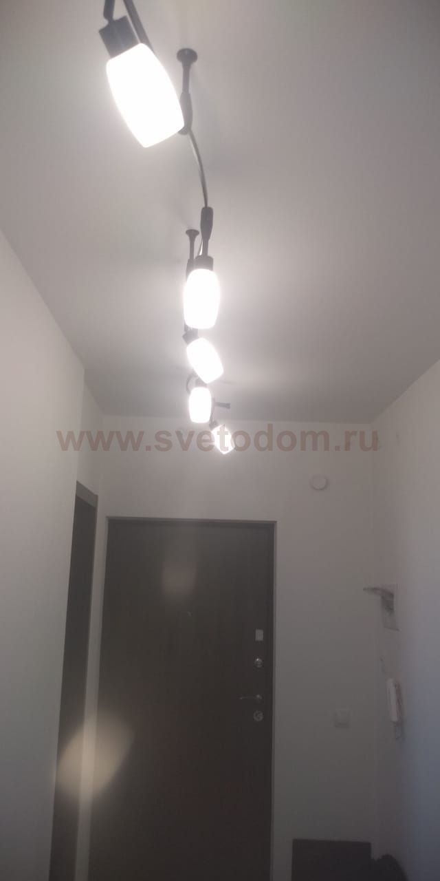 Светильник потолочный Arte lamp A3058PL-6SI RAIL KITS