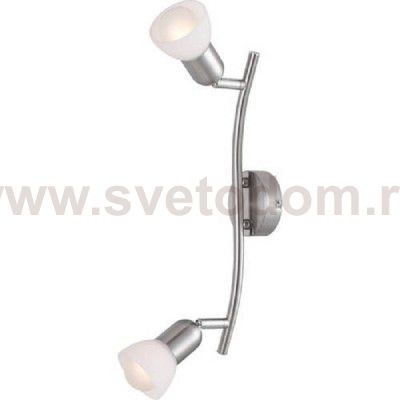 Светильник потолочный Arte lamp A3115PL-2SS FALENA