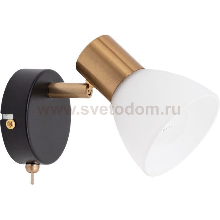 Светильник настенный поворотный Arte lamp A3117AP-1BK FALENA