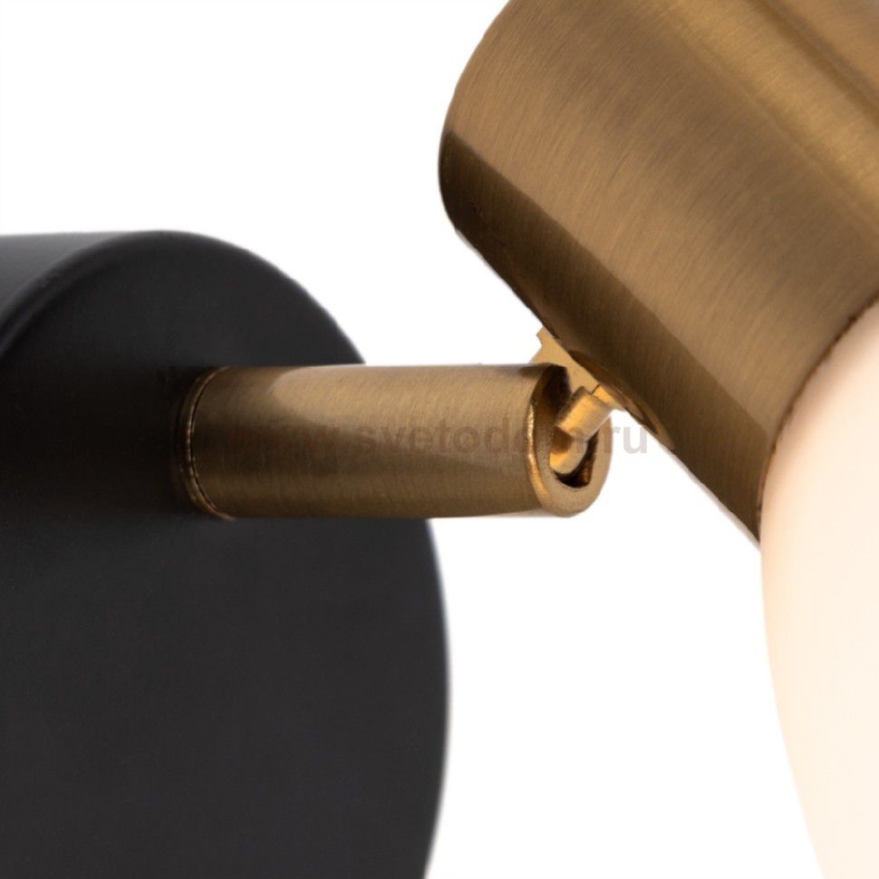 Светильник настенный поворотный Arte lamp A3117AP-1BK FALENA