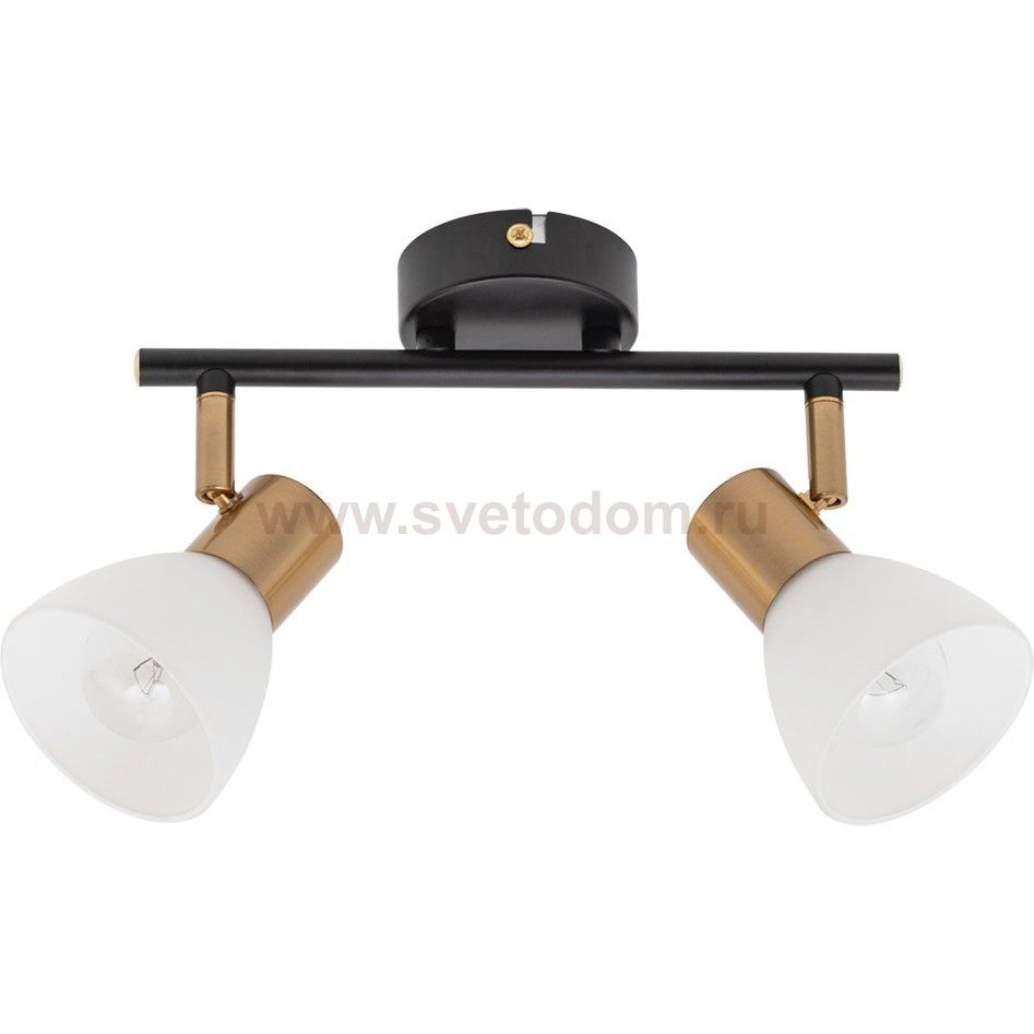 Светильник поворотный Arte lamp A3117PL-2BK FALENA