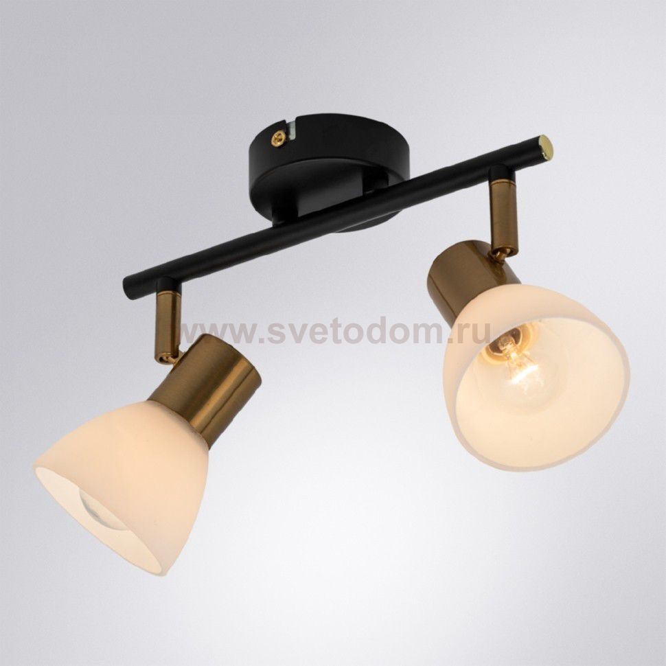 Светильник поворотный Arte lamp A3117PL-2BK FALENA