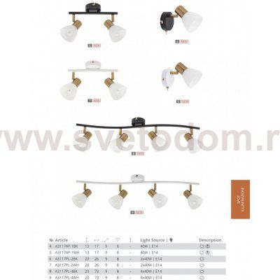 Светильник поворотный Arte lamp A3117PL-2BK FALENA
