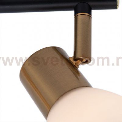 Светильник поворотный Arte lamp A3117PL-2BK FALENA